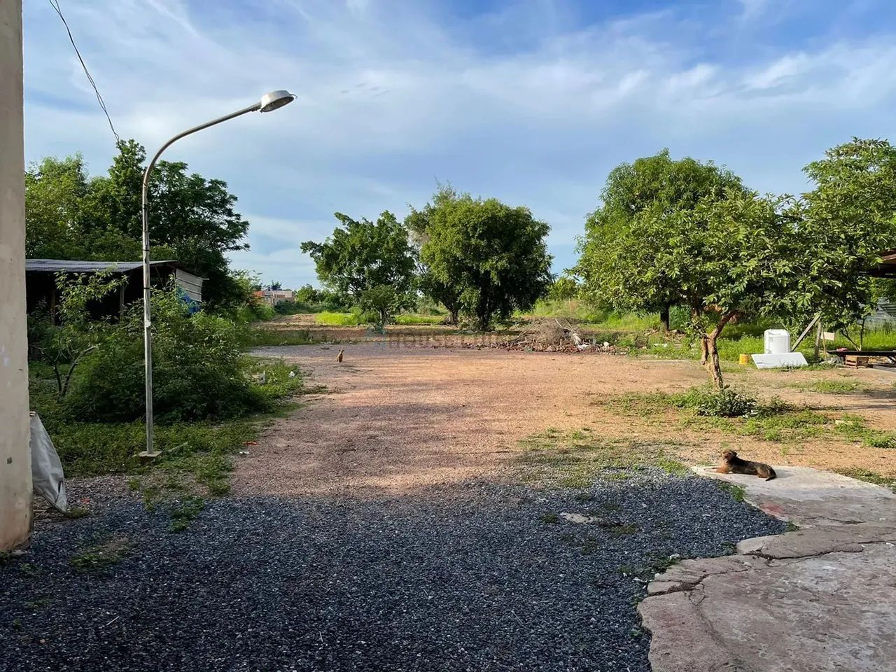 Barracão Pedra 90 - Foto 4