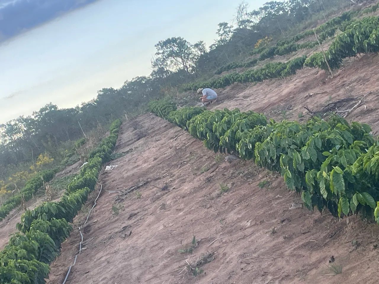 Terreno com casa - Chapada Diamantina - Foto 4