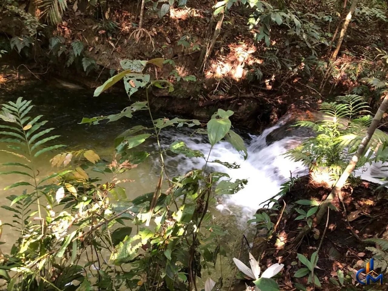 Fazenda no Cone Sul de Rondonia - Foto 4