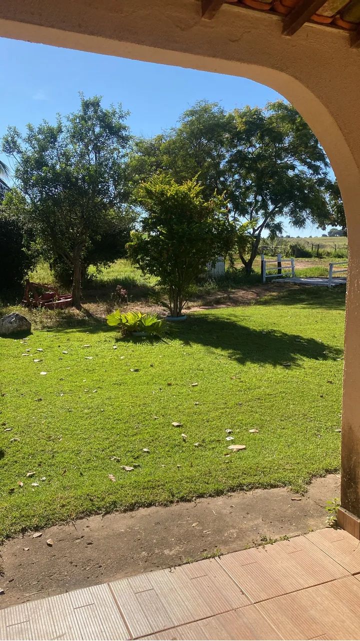 Vendo ou arrendo - Foto 4