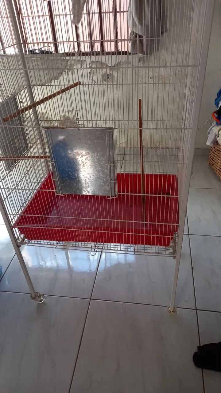 Gaiola pássaros  - Foto 2