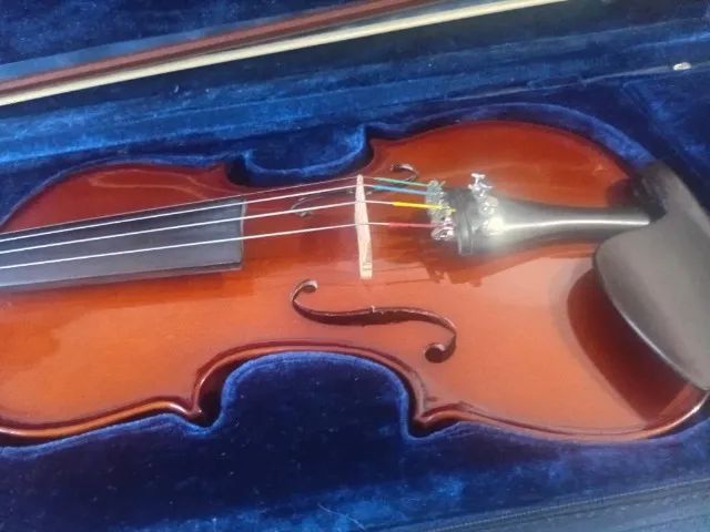Violino Eagle VE144 Master Series - Regulado por Luthier - Foto 2