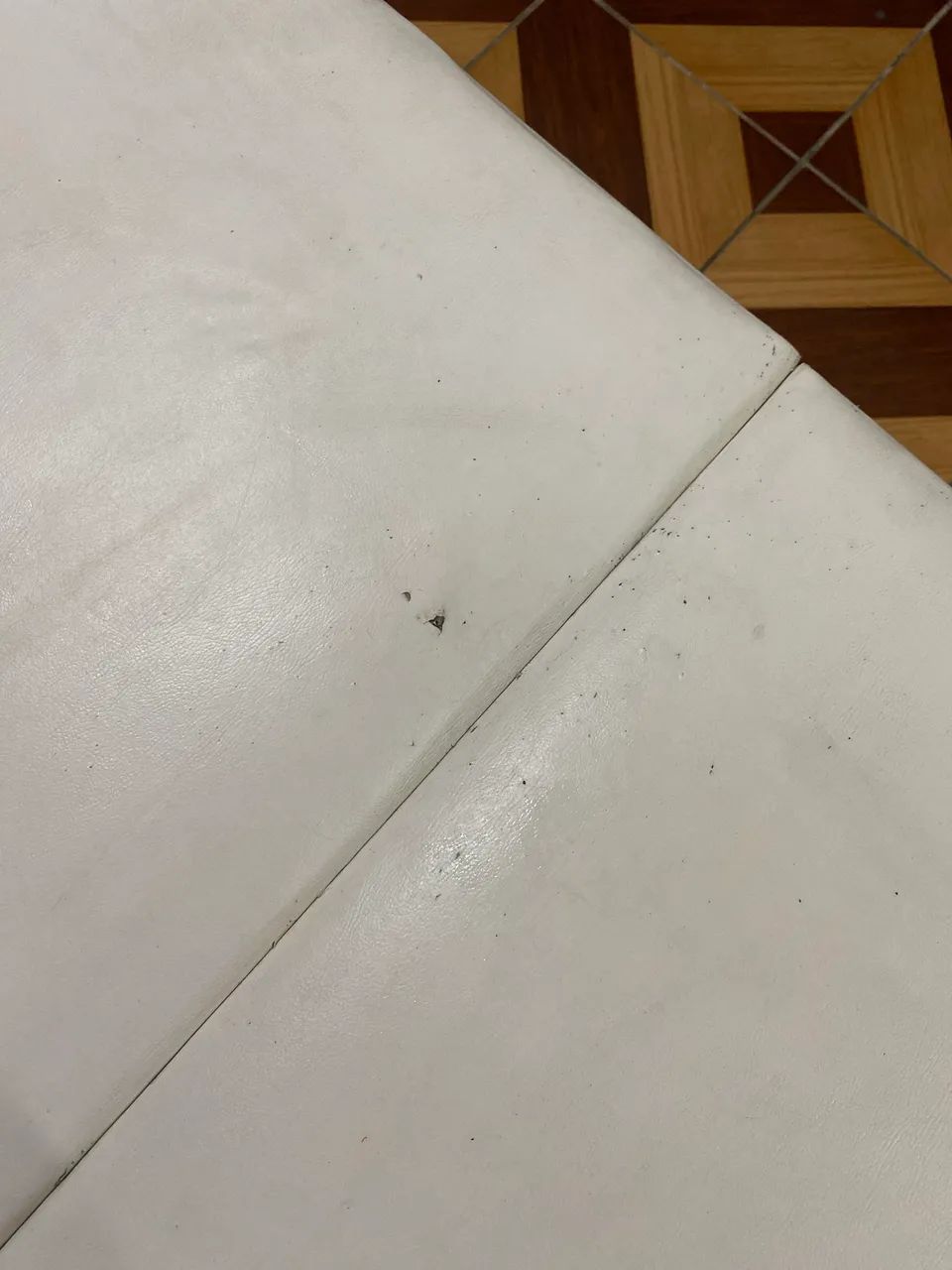 Maca mala estética  - Foto 3