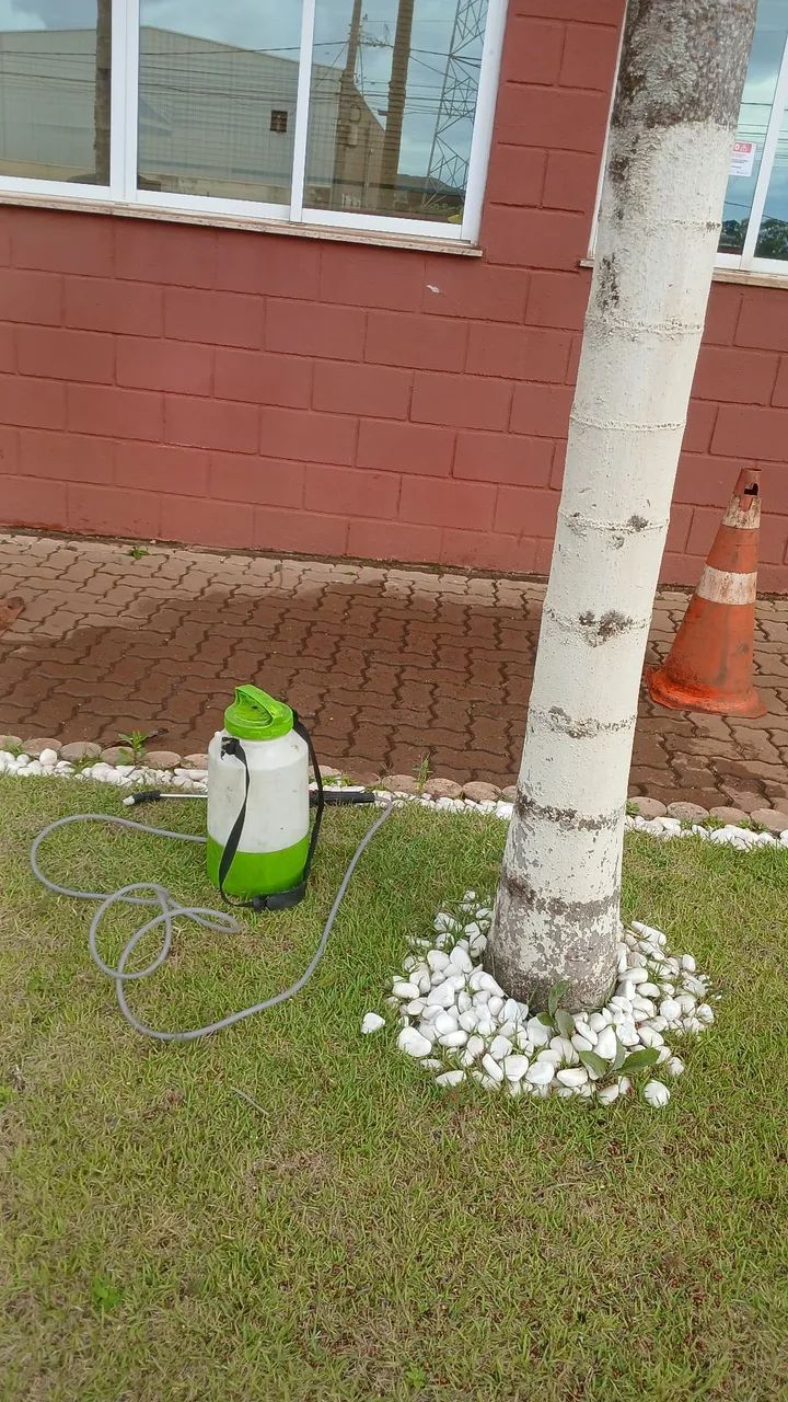 Remoção de abelha e. Marinbomdo vespas etc. - Foto 5