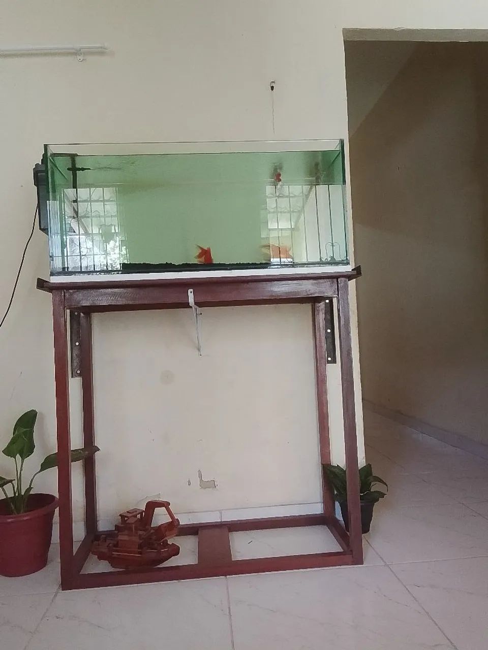 Aquário 