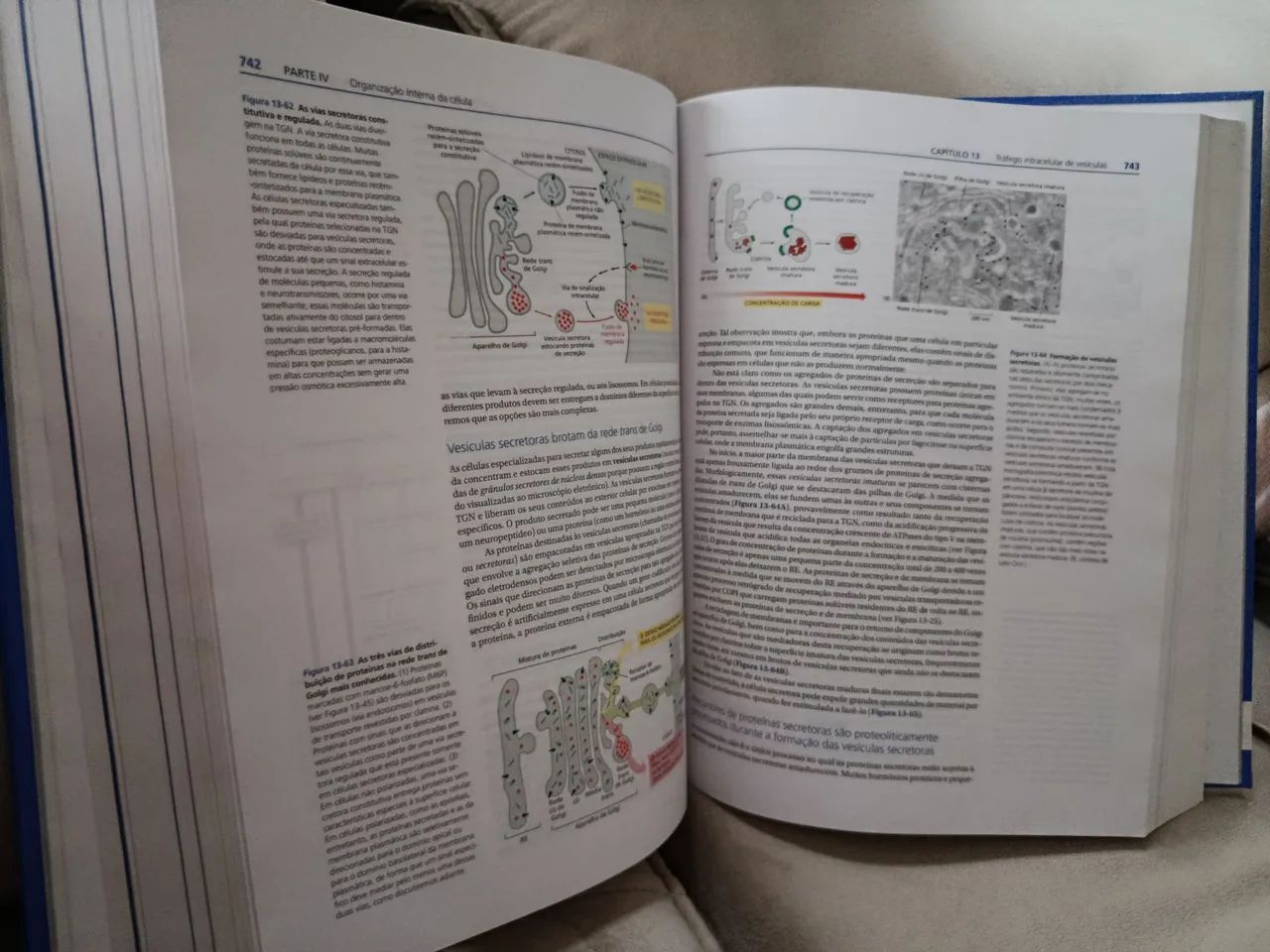 Biologia Molecular da Célula - Alberts - Foto 2