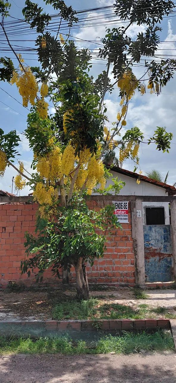 Vendo casa em Benevides  - Foto 2