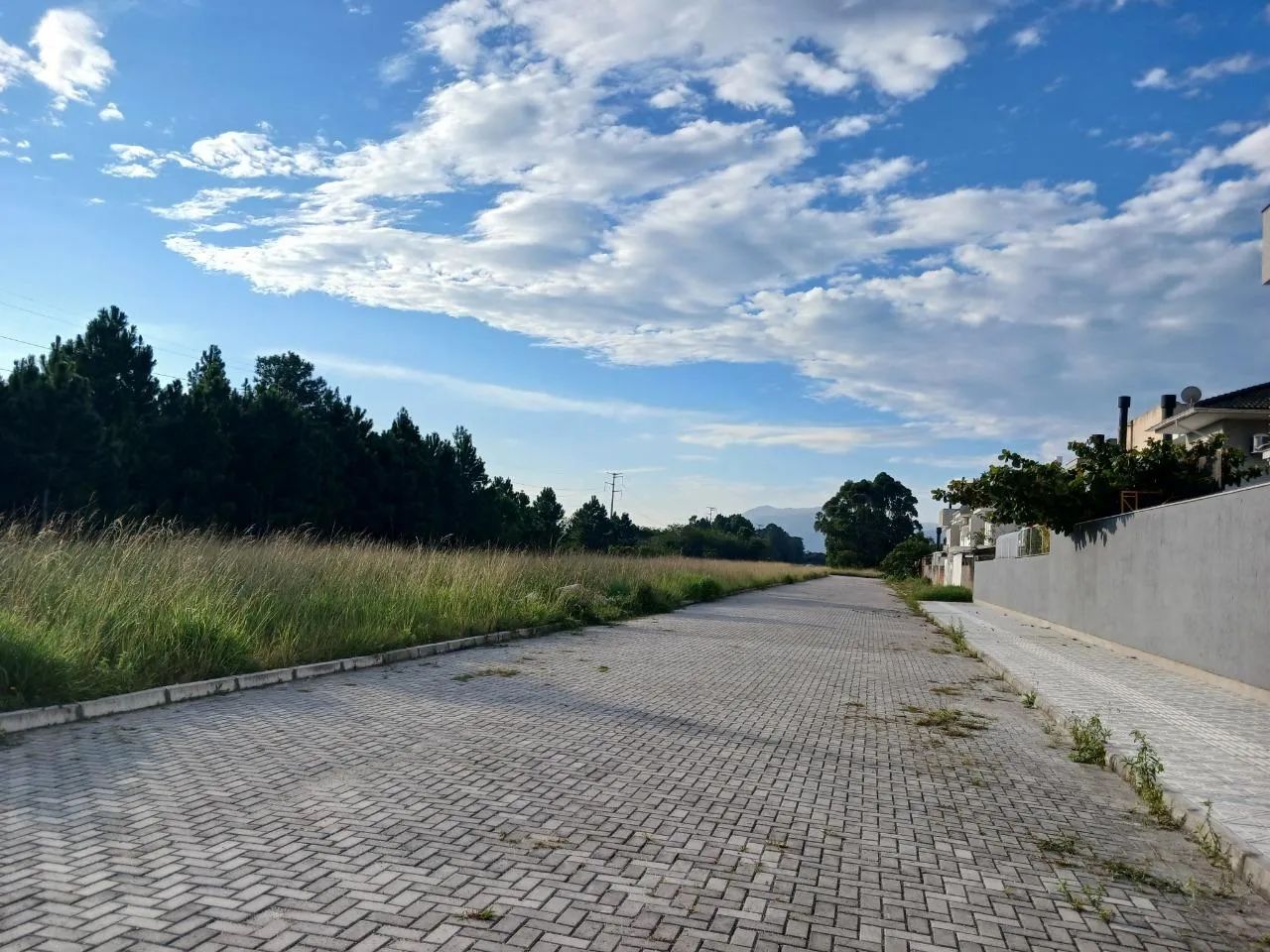 Terreno com 865 m² no bairro Ribeirão da Ilha - Foto 3