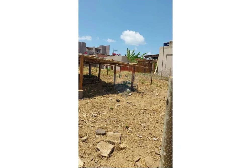 LOTE COM USINA SOLAR - CENTRO SÃO MIGUEL DOS MILAGRES - Foto 11