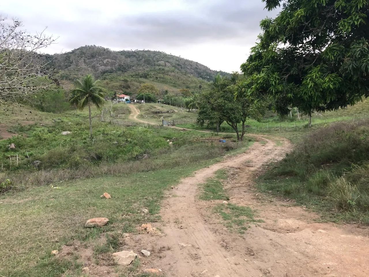 Vendo Fazenda em Guarabira PB - Foto 5