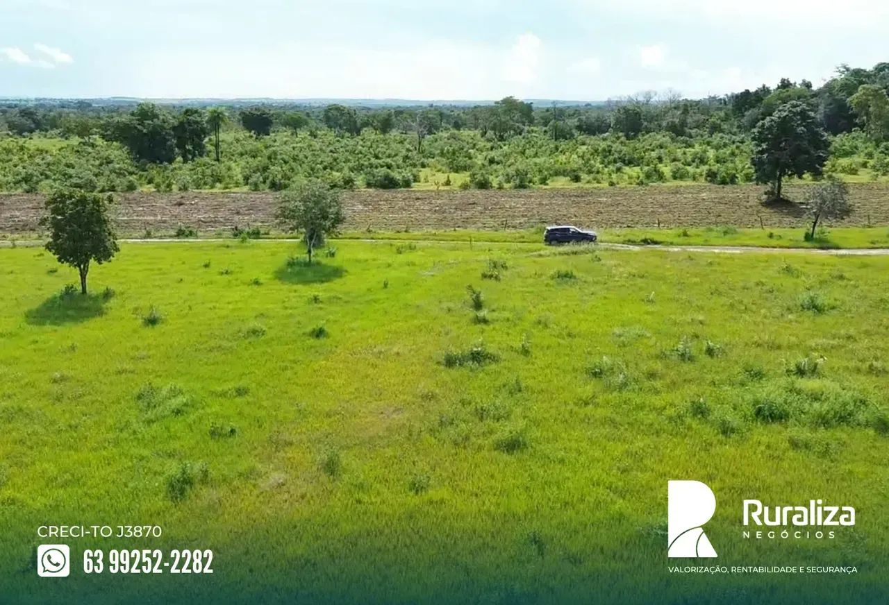 ALTO POTENCIAL AGRÍCOLA | ÓTIMA OPORTUNIDADE - Foto 4