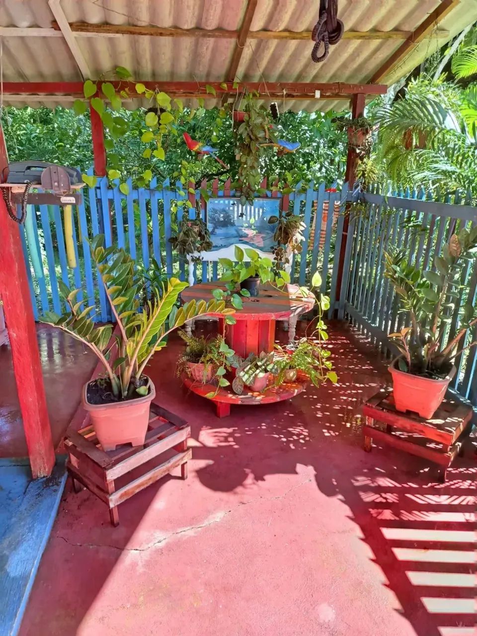 Sitio para venda com 13600 m2 em Centro - Bragança - PA - Foto 2