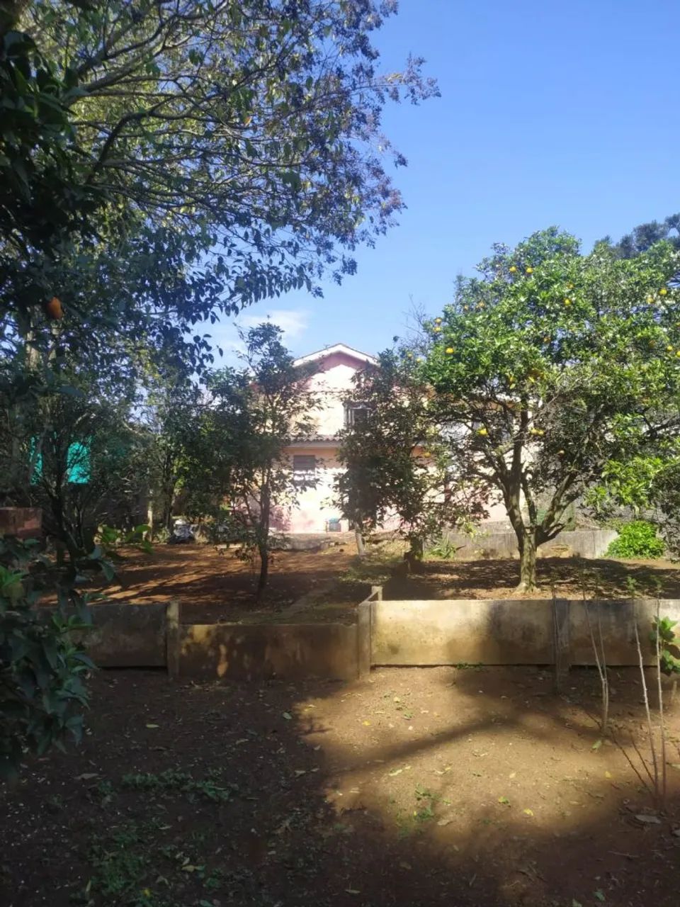 Casa mista com árvores frutíferas  - Foto 3