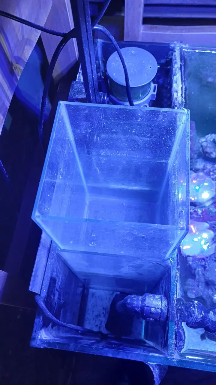 Aquario marinho com sump e luminária  - Foto 4