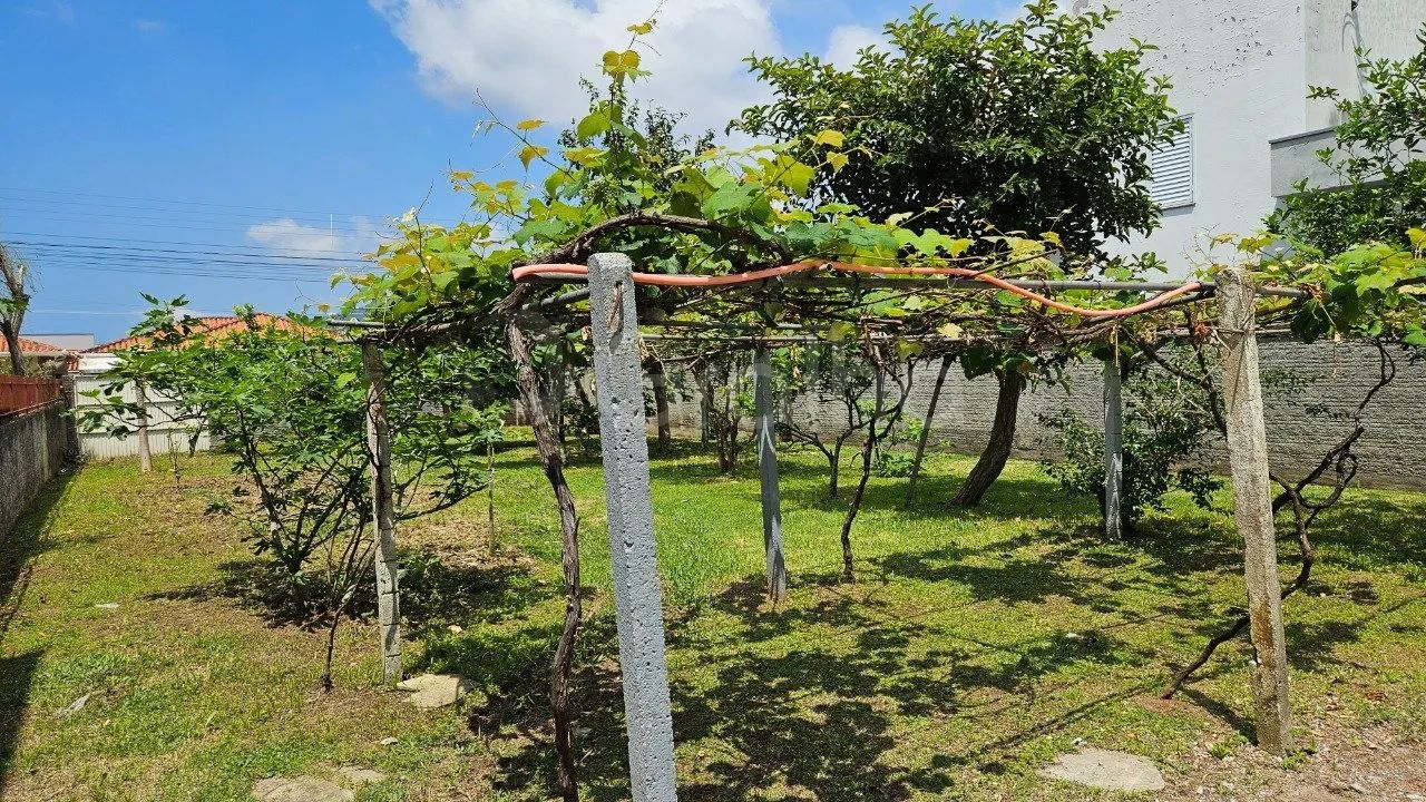 Terreno de 360 m² no Carianos - Foto 4