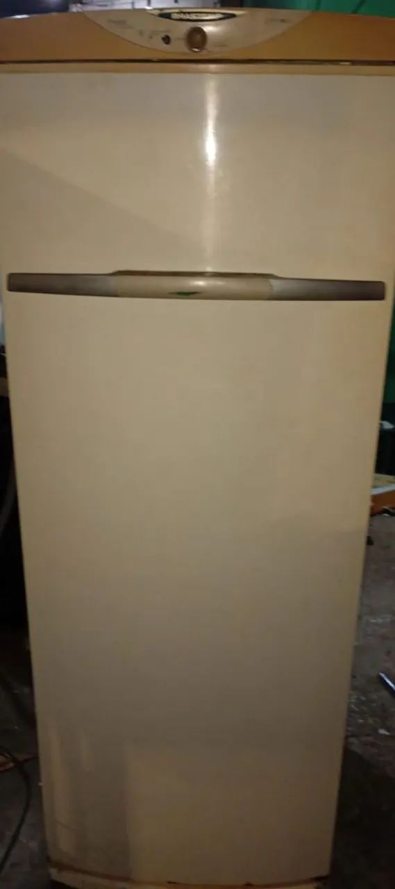 Freezer vertical