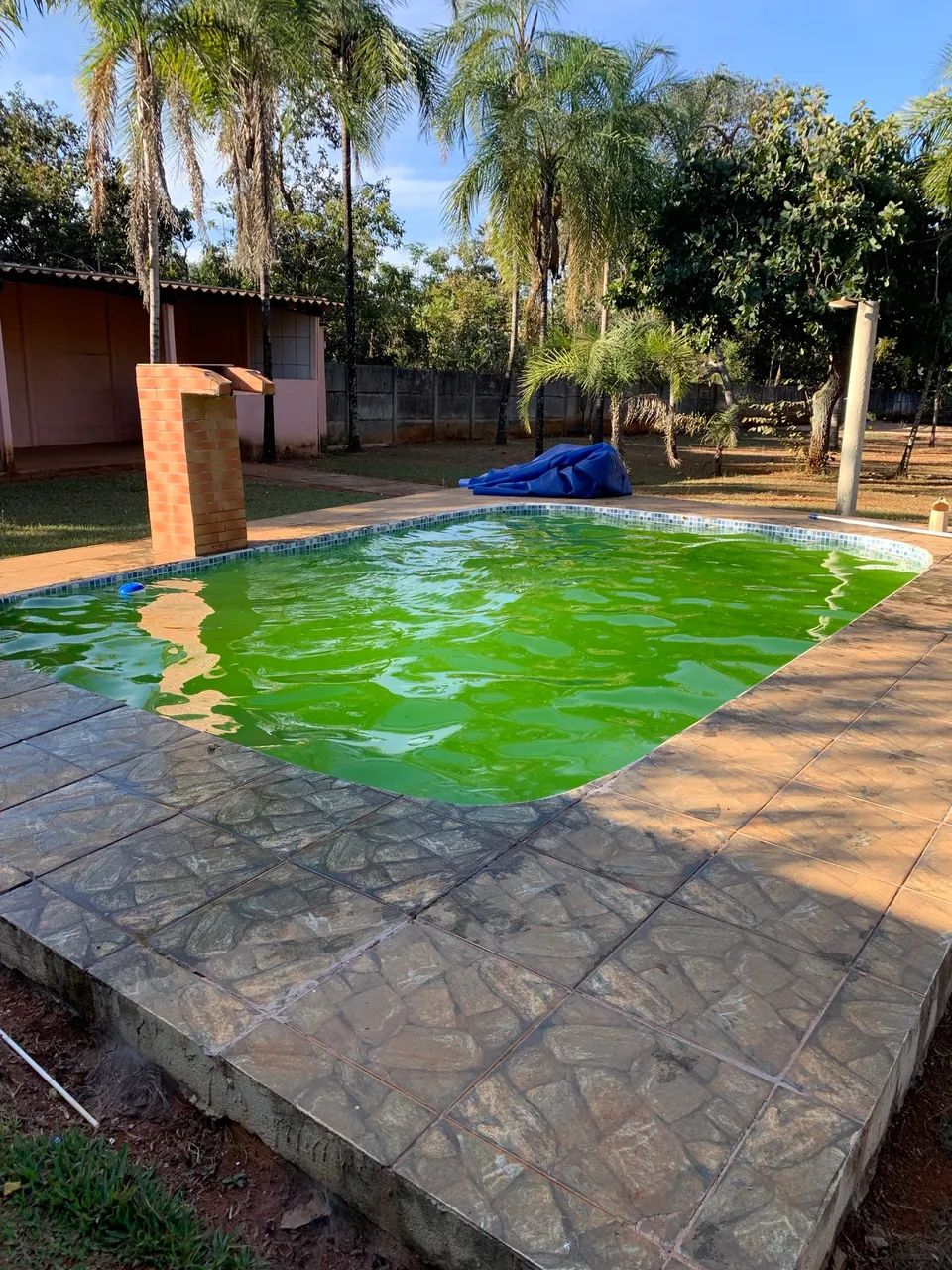LIMPEZA DE PISCINA  - Foto 2