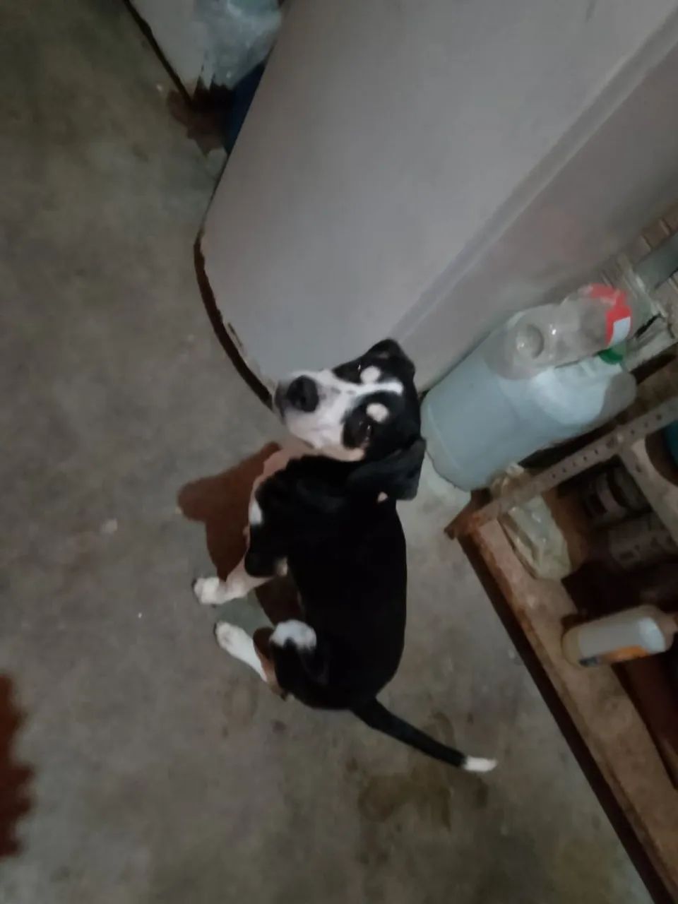 Doação - Foto 2