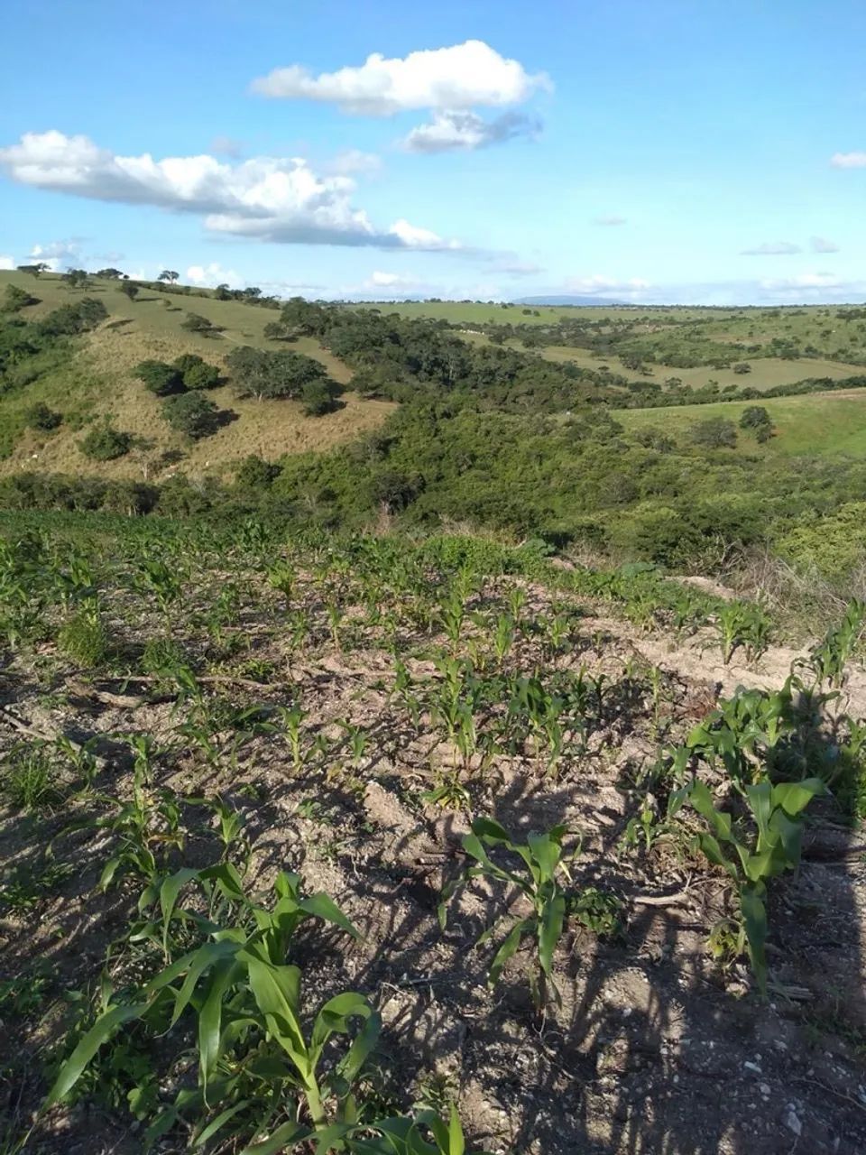 Fazenda Rio da Cova  - Foto 3