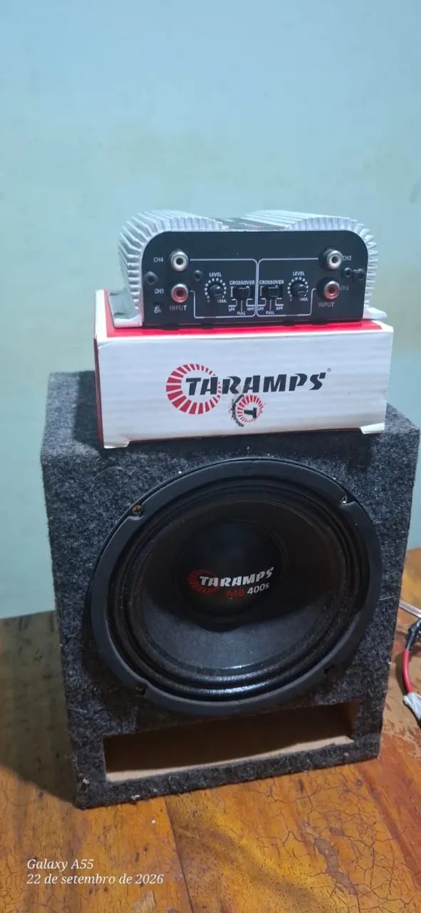 Medio grave 6" + Ts 400 2 ohms