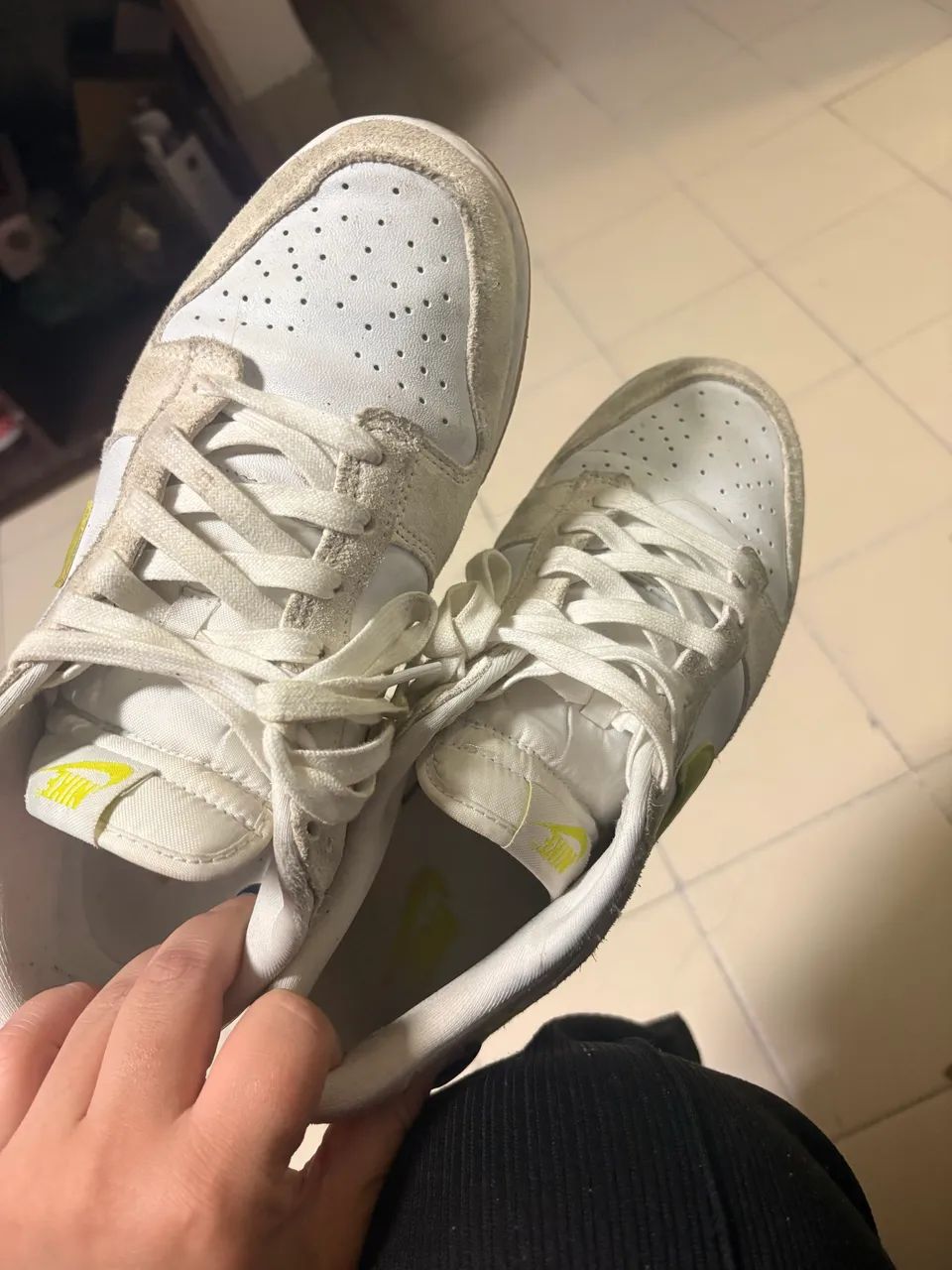 Dunk cactus 40