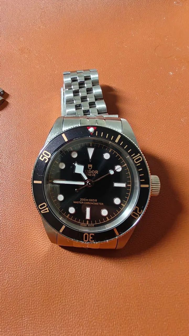 Tudor Black Bay