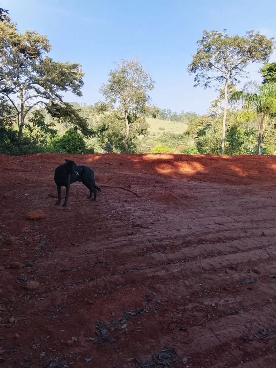 Chácara Desterro de Entre Rios  - Foto 3