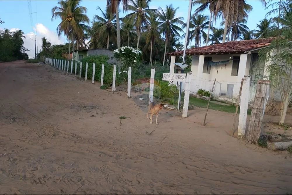 5 tarefas no Povoado Ladeirinhas B em Japoatã (Sergipe) - Foto 2