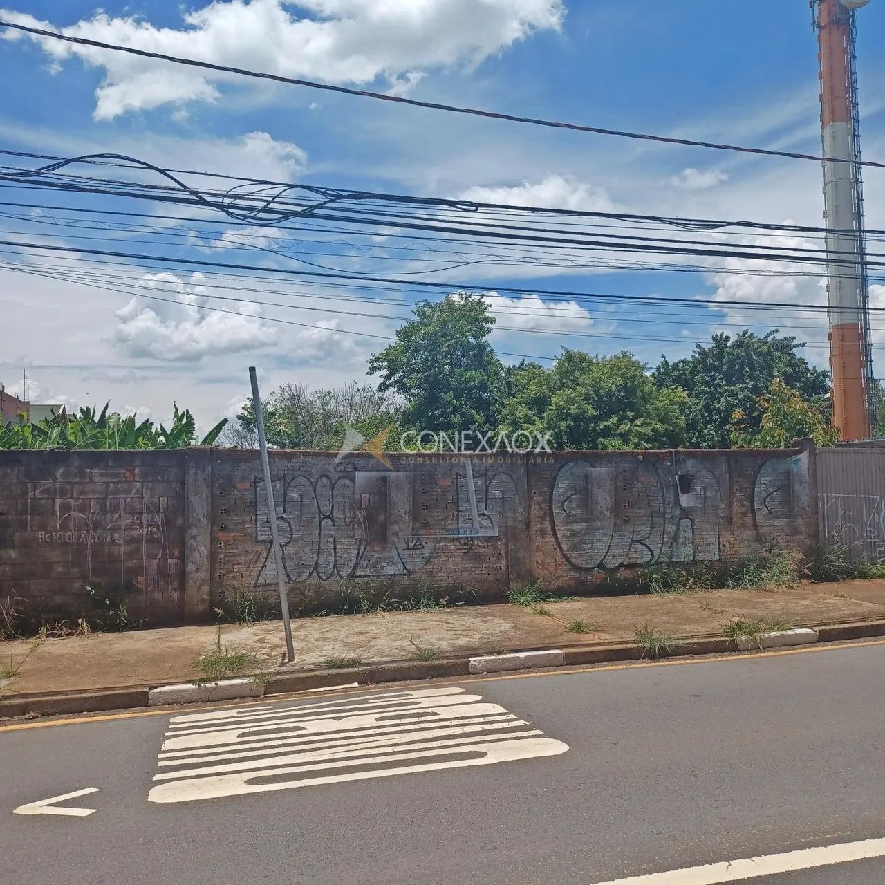 terreno - Chácara Primavera - Campinas - Foto 5