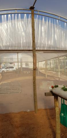 Lona para viveiro de plantas