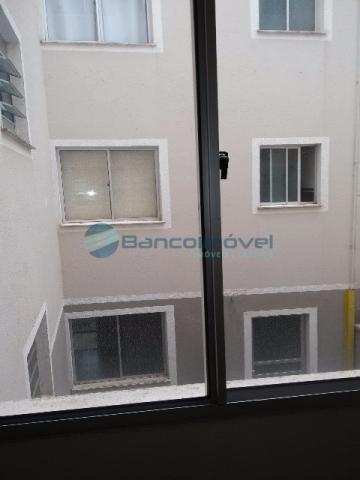 Apartamento para alugar com 2 dormitórios em Jardim flamboyant, Paulínia cod:AP01546 - Foto 3