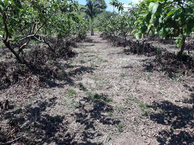 Belíssimo sítio em Cachoeiras de Macacu RJ 122 medindo 20.000m2 oportunidade!!!! - Foto 10