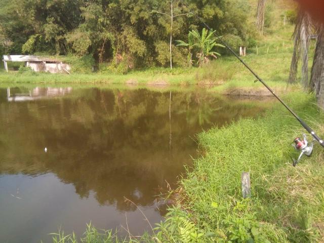 Linda fazenda em Cachoeiras de Macacu 20 alqueires oportunidade!!!! - Foto 7