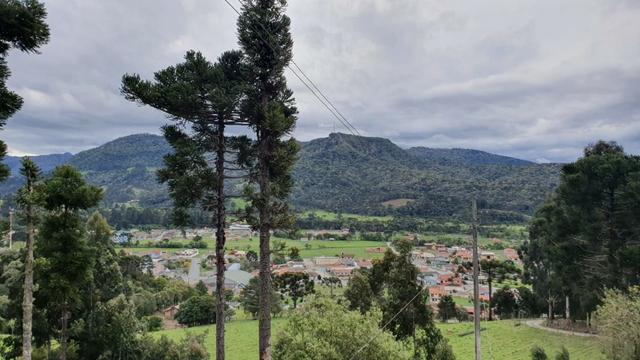Sitio em Urubici /chácara dentro da cidade/área rural na cidade de Urubici - Foto 13