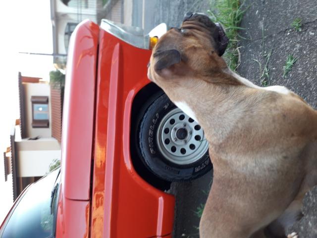 F100 raridade!! - Foto 8