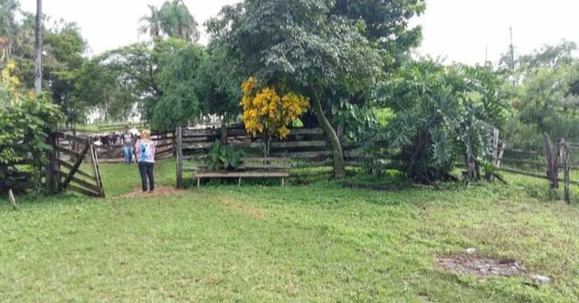 Chácara em Senador Canedo, 21 alqueires, 25 km de Goiânia _ saída para Bonfinopólis - Foto 4