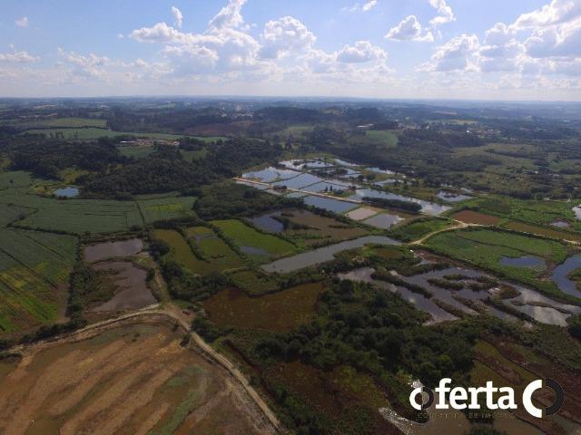 Chácara em Araucária - excelente para pesqueiro!!!! - Foto 2