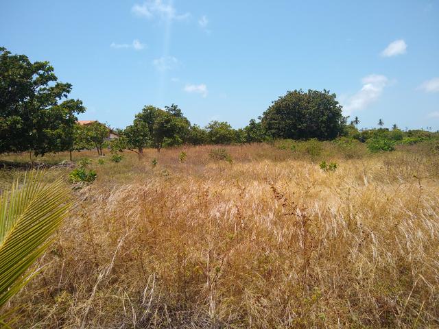 Terreno em Cascavel- Caponga - Foto 4