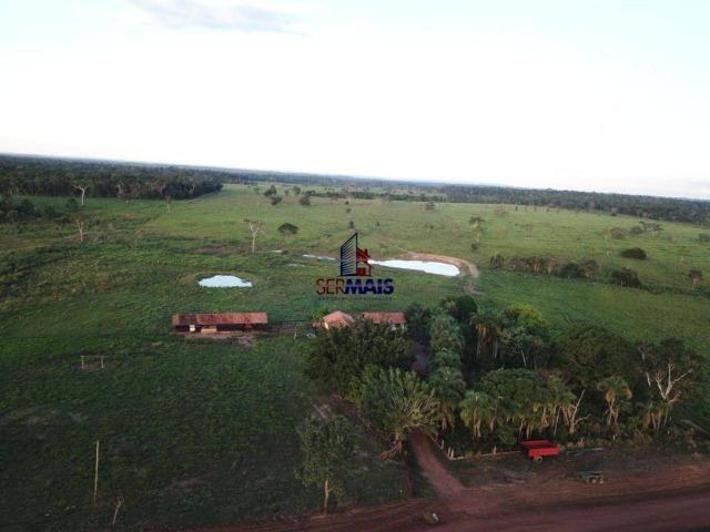Fazenda à venda, 105 alqueires por R$ 2.625,000 - Alta Floresta D'Oeste/RO - Foto 4