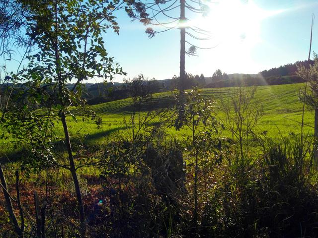 Chácara - Foto 5