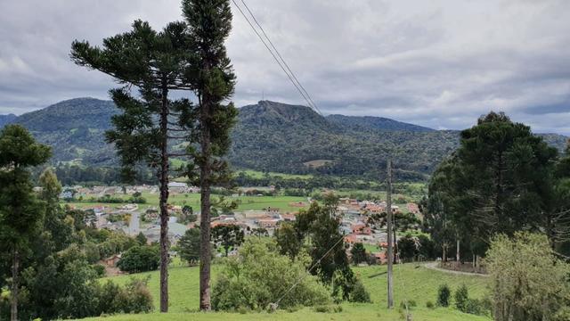 Sitio em Urubici /chácara dentro da cidade/área rural na cidade de Urubici - Foto 12