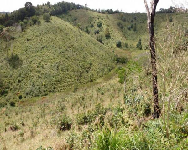 Fazenda sempre alegre a 20km de ilhéus