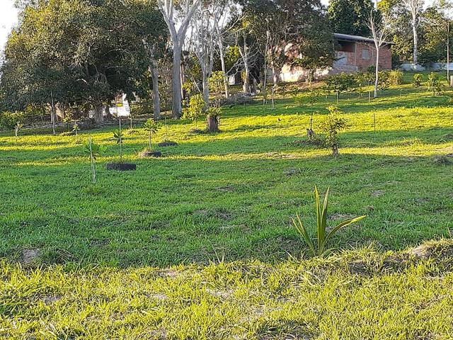 Vendo ou Troco chácara km14 da Transacreana - Foto 5