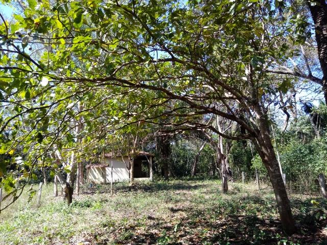 Rancho beira do rio cuiaba - Foto 10