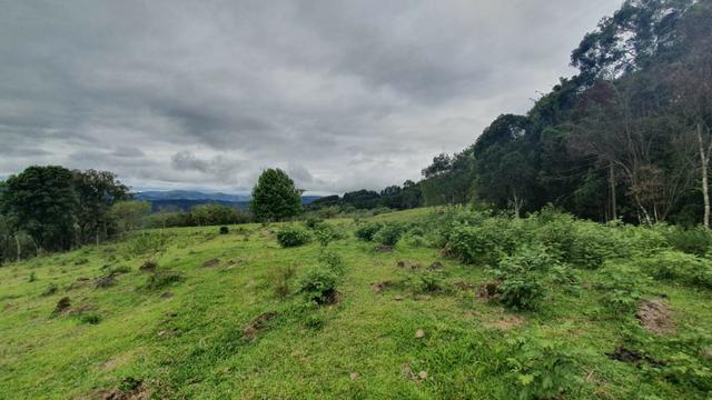Sitio em Urubici /chácara dentro da cidade/área rural na cidade de Urubici - Foto 6