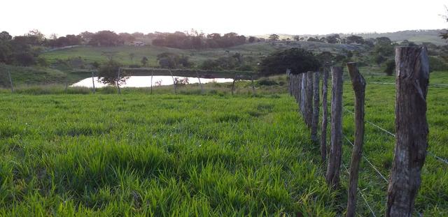 Imóveis/ 2 terrenos em mar-vermelho - Foto 3