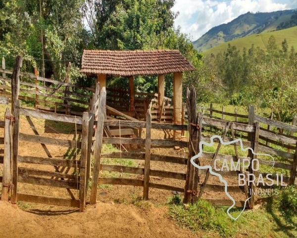 Oportunidade rural! Sítio de 8,5 alqueires todo aproveitável! - Foto 7