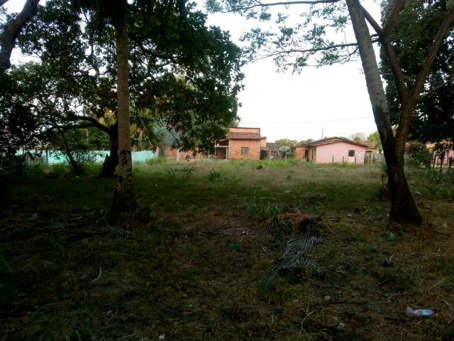 Terreno 40x50 em Maruda-Pa - Foto 3