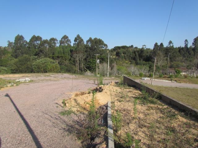 Chácara 4,5 Alqueires para Eventos - Mandirituba - Foto 20
