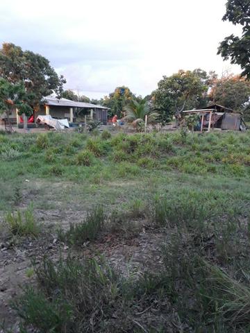 Àrea, Chácara 30.000m2, Aparecida de Goiânia, Madre Germana - Foto 5